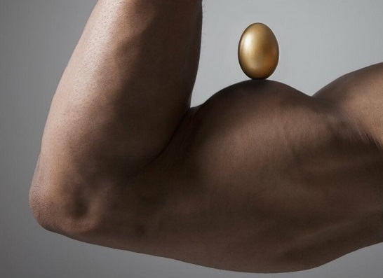 پروتئین تخم مرغ برای ورزشکاران